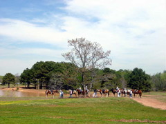 group_photo